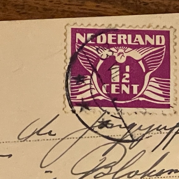 RARE VINTAGE 20th Century Postcard Teddy Bear - Picture 6 of 7